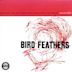 Bird Feathers