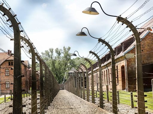 Reality TV Star Received Death Threats After Auschwitz Outfit Instagram Post