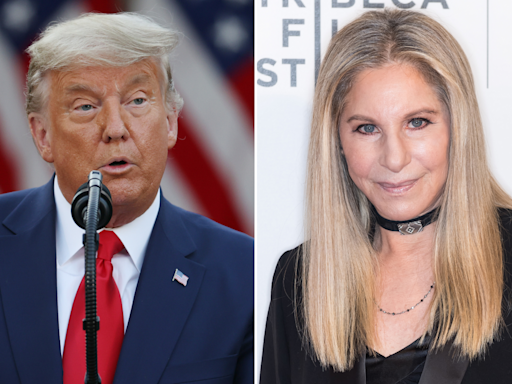 Barbra Streisand s Donald Trump bragging post takes off online