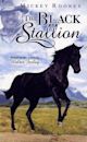 Black Stallion (film)