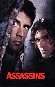 Assassins (1995 film)