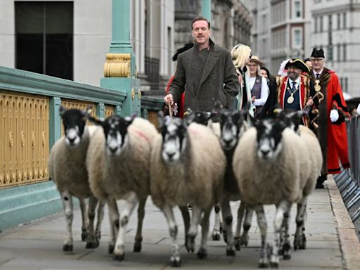 Why Damian Lewis is herding sheep in London