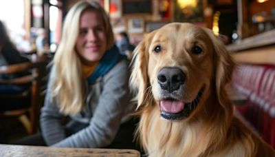 Qué significa mascota según la RAE y por qué hay debate sobre cómo hablar de los animales de compañía