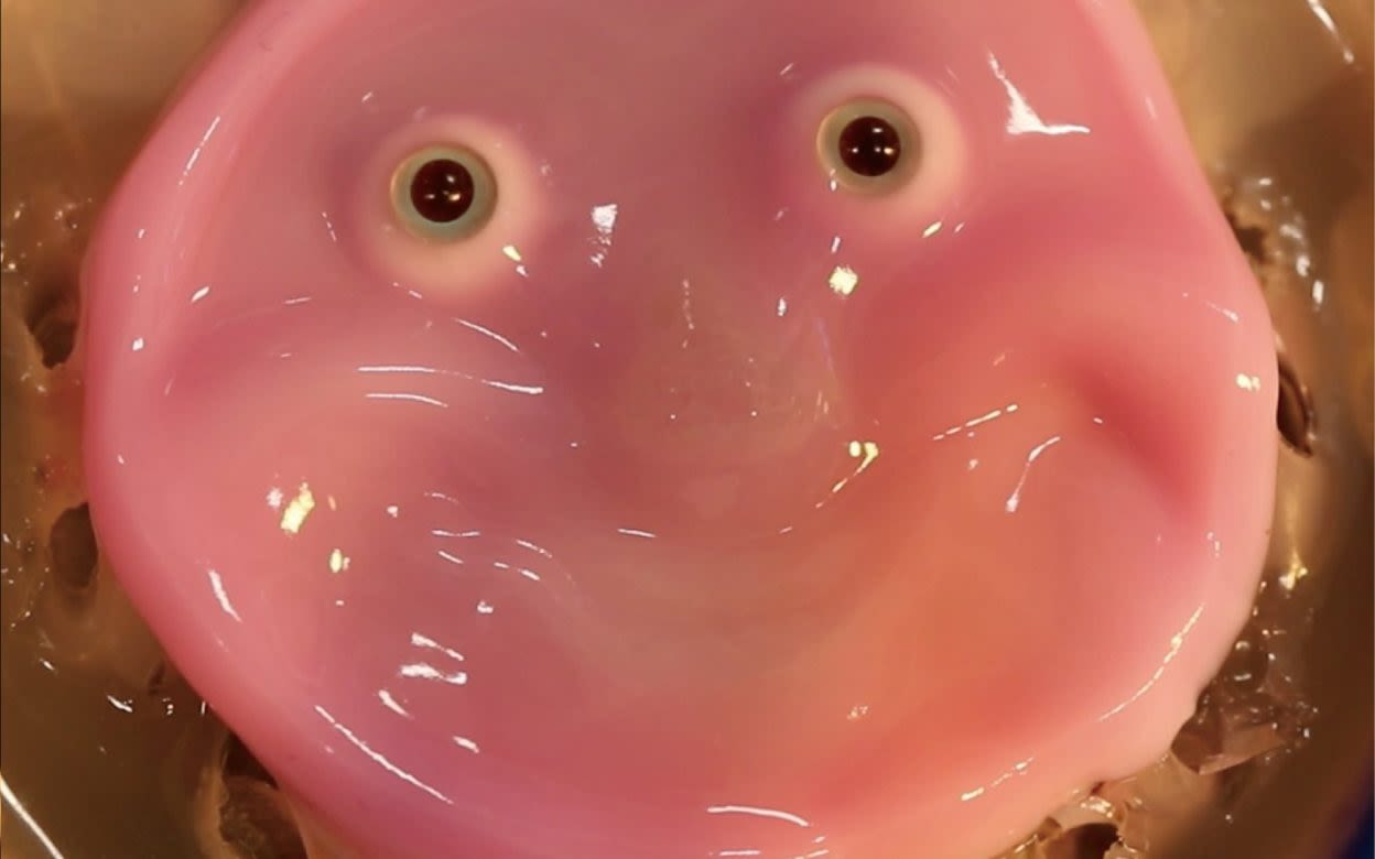 World’s first smiling robot face made of human skin cells