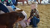 4-H showmanship clinic prepares young stars for fairs