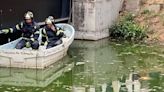 VIDEO: Encuentran el cuerpo de un hombre sin vida en el Canal de Nacional, en Coyoacán | El Universal