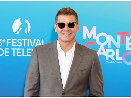 ‘SEAL Team’ Star David Boreanaz Teases Next Project: ‘I Am Watching a Lot of ‘The Sopranos’ Right Now’