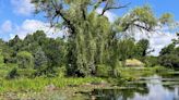 Nature is in season this summer at Holden Arboretum