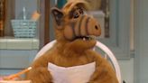 What Was Alf? The Adorable Fuzzy Alien Explained