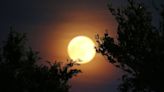 A ‘strawberry moon’ will soon rise over IL. Here’s the best night to catch a glimpse