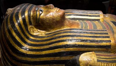 Can ancient germs from dug-up Egyptian mummies trigger a plague or pandemic today? | Business Insider India