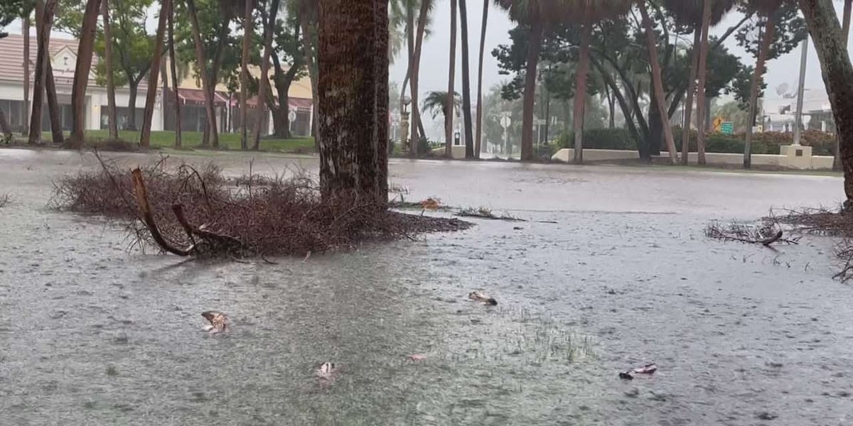 Tropical Storm brings flooding to St. Armands Circle