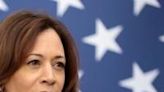 US VP Harris to attend Ukraine summit as Biden skips