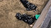 "Parecían cadáveres", pero se envolvieron en bolsas de basura para aislarse del frío en Las Canteras