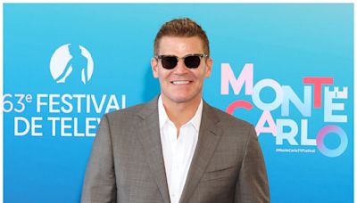 ‘SEAL Team’ Star David Boreanaz Teases Next Project: ‘I Am Watching a Lot of ‘The Sopranos’ Right Now’