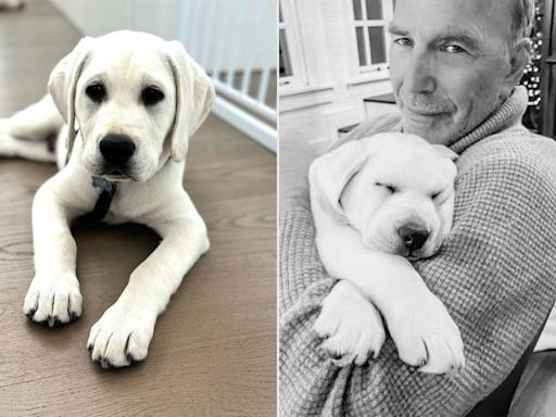 Why Kevin Costner Says He's Just Like His 7-Month-Old Puppy Bobby (Exclusive)