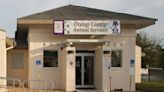 Orange County shelter with hundreds of animals hopes ‘Mega Adoption Event’ gives some slack