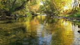 From tires to pristine: How Ogden recaptured its river