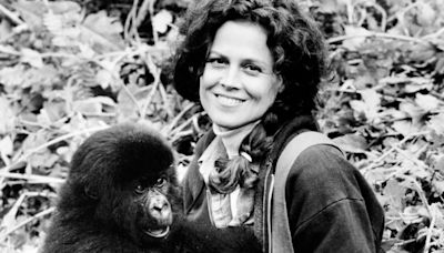 ‘World's biggest gorilla’ starred in hit film with Sigourney Weaver