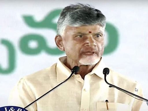 Chandrababu Naidu hails Budget, says it will rebuild Andhra Pradesh