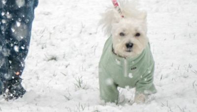 UK weather maps show exact date Arctic blast to hit us with snow and -4C temps