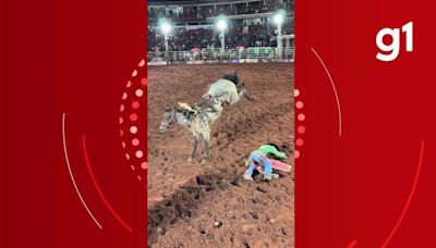 Égua 'lenda' de rodeios pelo Brasil morre após suposta picada de cobra em MT