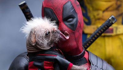 All 'Deadpool & Wolverine' Easter eggs explained