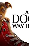 A Dog's Way Home