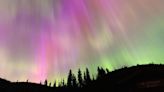 Vimos un espectáculo en el cielo: ¿qué tan raro es ver la aurora boreal?
