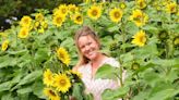 Pick-your-own sunflower fields to visit in Norfolk this summer