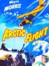 Arctic Flight