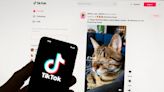 TikTok sued the government — oral arguments start in September