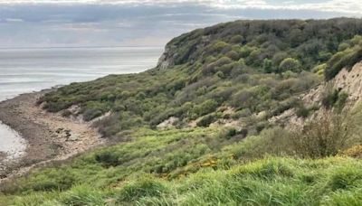 Secluded UK beach is a natural paradise where clothing is optional