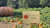 These 3 pumpkin patches are the best in SC, new ranking shows. Take a look