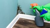 Remove mould from wall in 10 minutes so it doesn’t come back with 1 kitchen item