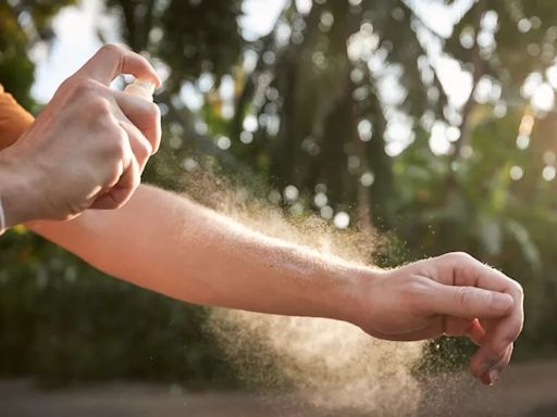 La razón por la que sigue habiendo mosquitos en Buenos Aires a pesar del frío