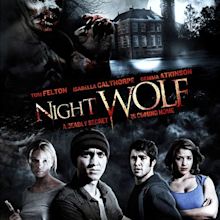 REVIEW: Night Wolf aka 13Hrs (2010)