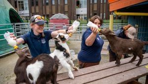 Point Defiance Zoo welcomes the new kids on the block