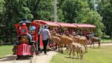 Should the DNR oversee all zoos? Activists and zoo owners disagree