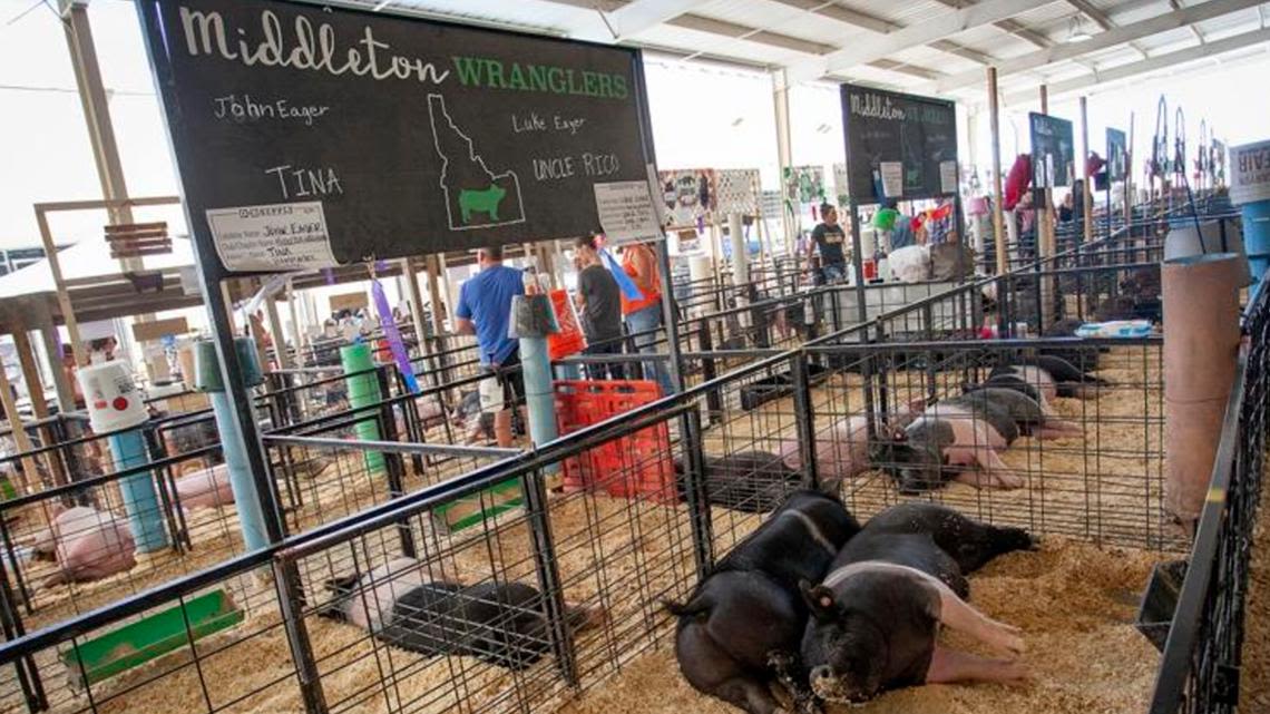 Canyon County Fair gets going in Caldwell