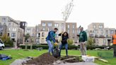 Clean Air Day: boosting London’s trees for better breathing ...Tech & Science Daily podcast