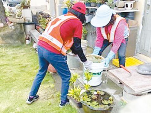 台中7例登革熱 環保局訂清淨家園日 - 地方新聞