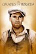 The Grapes of Wrath (film)