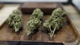 El senado colombiano hunde otro proyecto para legalizar el cannabis de uso recreativo