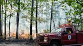 Wildfire burns through 100 acres in state forest across 2 N.J. counties