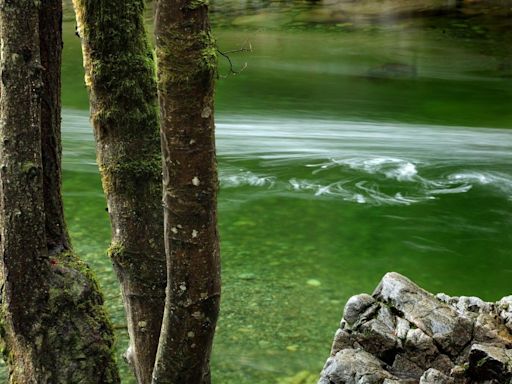 Cliff jumper dies after rescue attempt at Lynn Canyon in North Vancouver