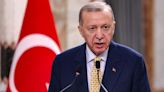 Turkey's Erdogan postpones tentative White House visit, sources say