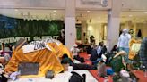 Pro-Palestinian protesters set up encampment inside Fashion Institute of Technology in NYC