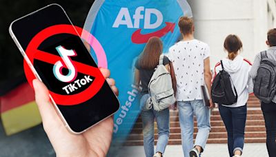 Jugend wählt rechts - Bildungsspezialistin: Erfolg der AfD ist ein schlechtes Argument für ein TikTok-Verbot