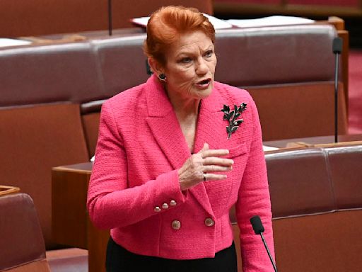 Pauline Hanson unleashes after Albanese govt signs up for UN agenda